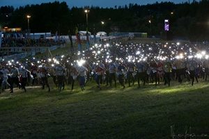 Jukola_2012_relay_start