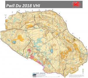 Pwll Du 2018 VHI