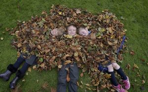 6-10-16 Children from Stanhope Street Primary School, left to right, Gabija Pijoraityte, Kevin Maguire and Layla Rennix get covered with leaves at the launch of National Tree Day.                       Pic Tommy Clancy - No Fee.