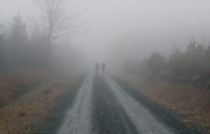 carrick mist