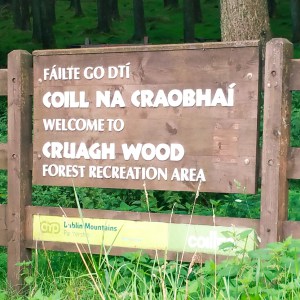 cruagh sign