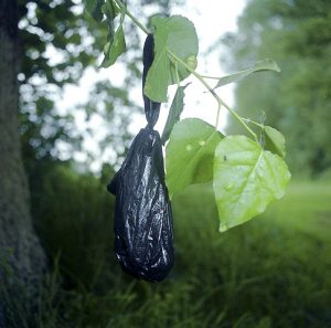 dogpoo