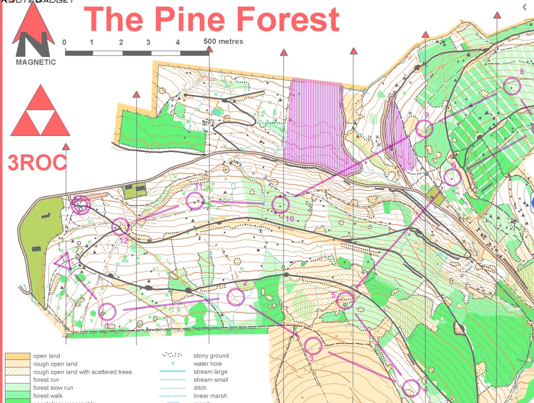 Pine Forest O map